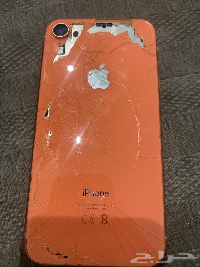 iPhone XR64378411425538110