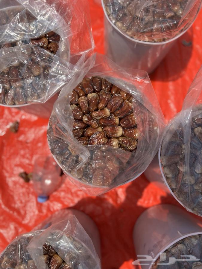 برني و كعيمر فاخر64388674597506111