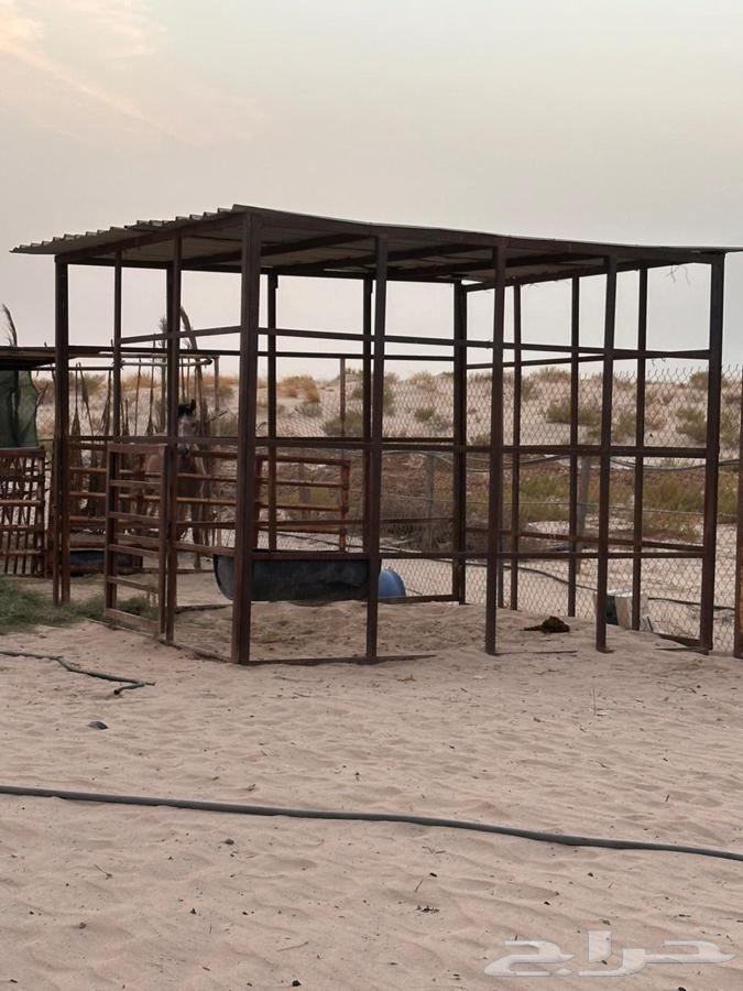 غرف خيل ( بايكة)64380123532161110