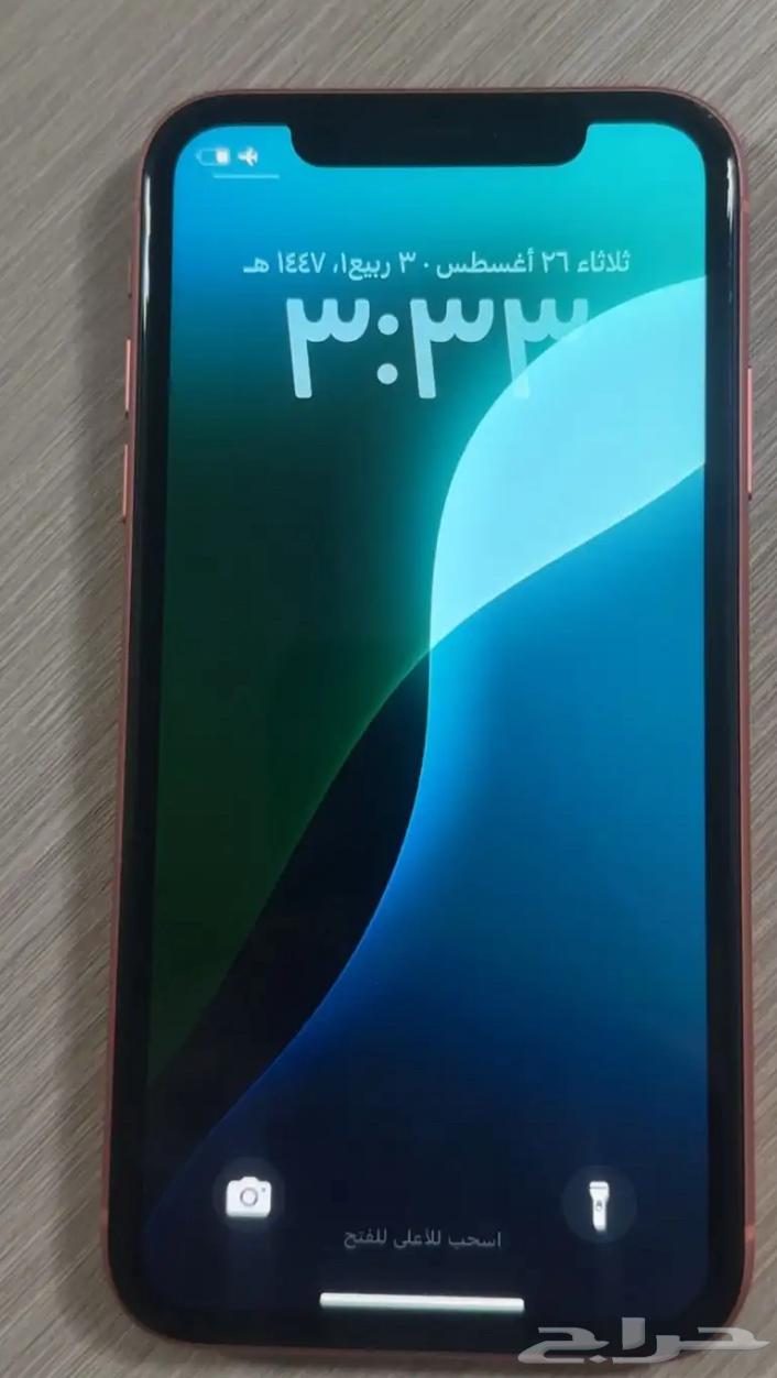 iPhone XR64380058629379111