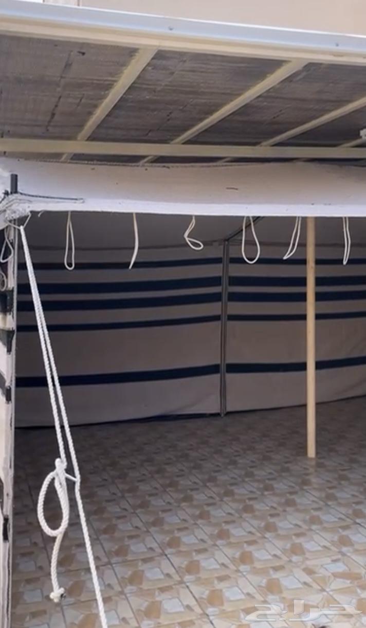 بيت شعر قطبة64381273592194112