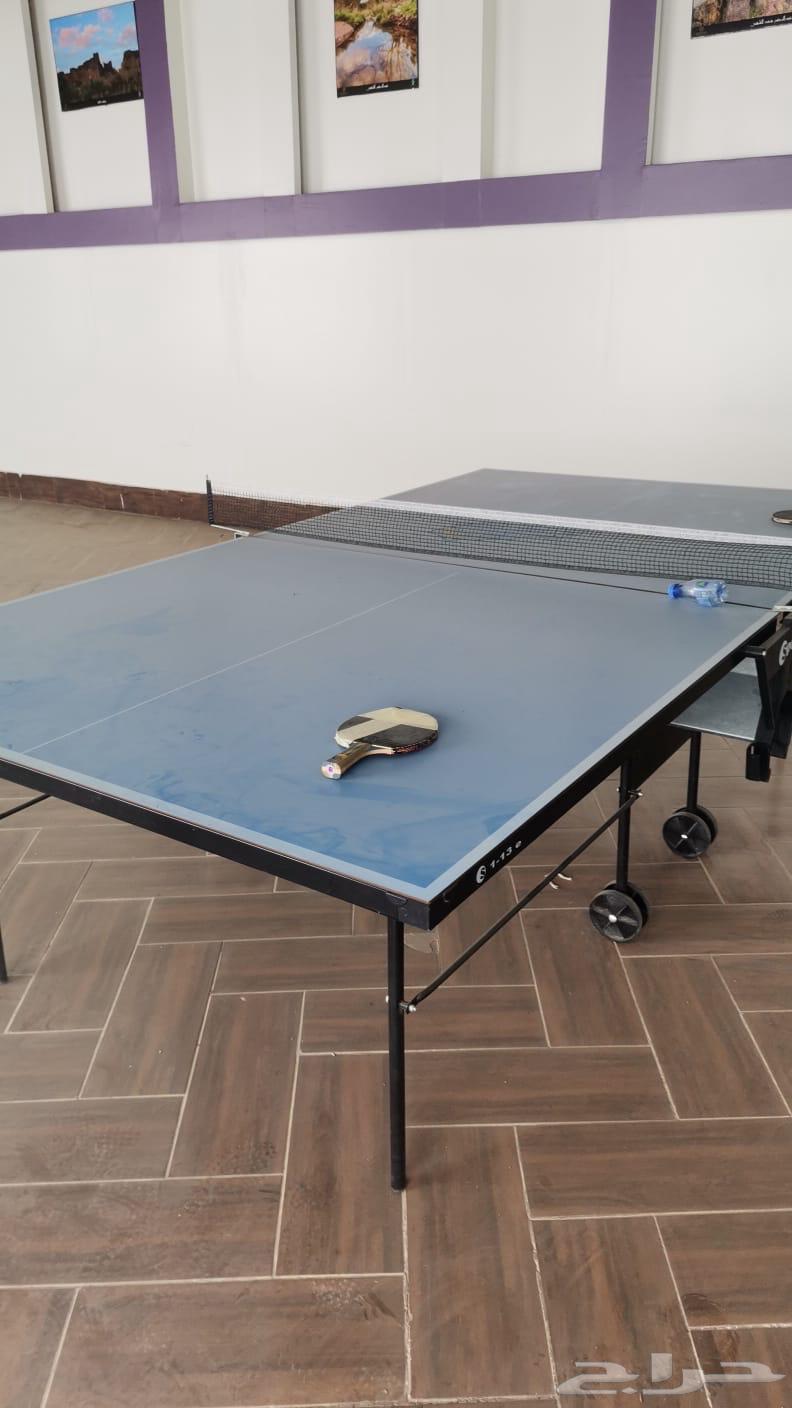 Billiards and Table Tennis and Two Ping Pong Balls for Sale64378527832834111