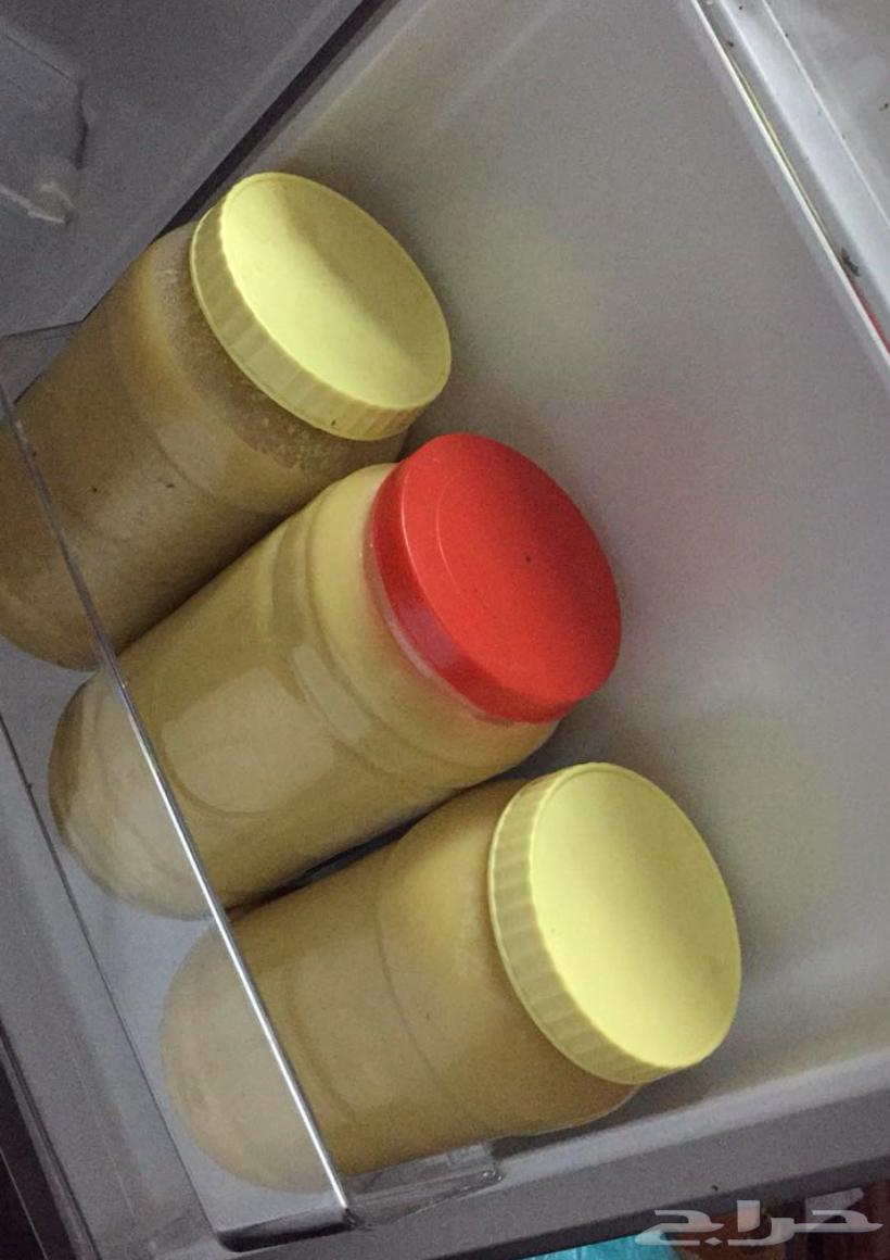 Sheep64380419940482111