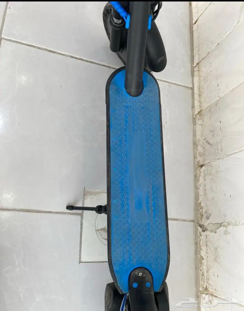 Scooter64389861176705114