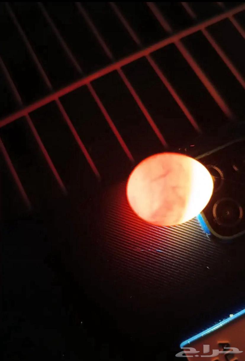 Pair of days64384245689346112