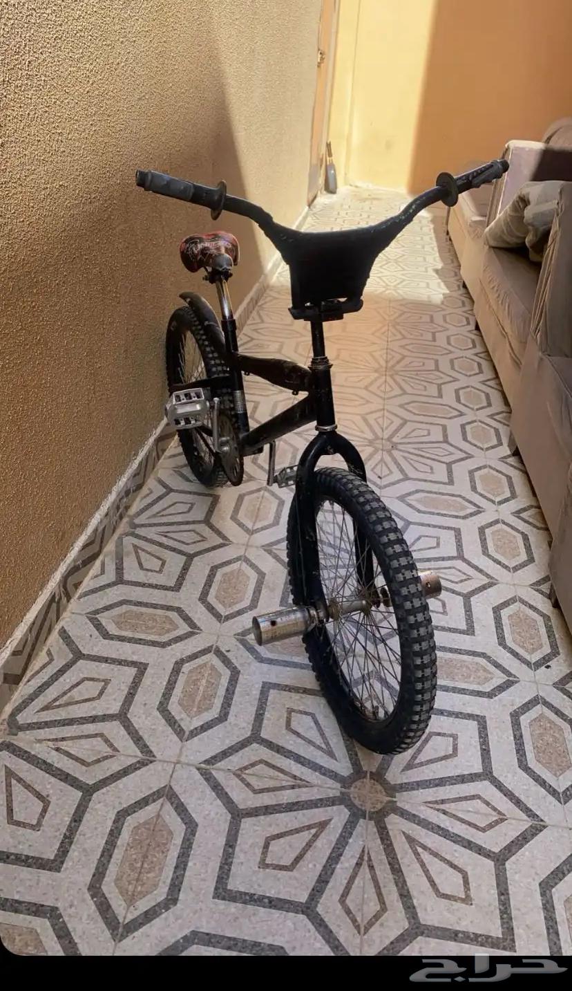 Cobra size 2064384520997889110