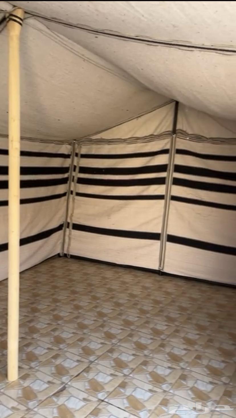 بيت شعر قطبة64381273592194113