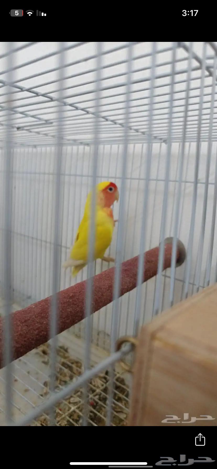 Pair of days64384245689346110