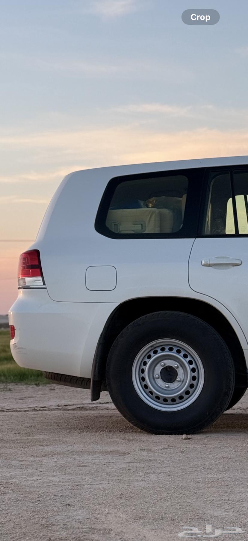 كفرات هامان وجنوط هلل اصليه64537756598657111