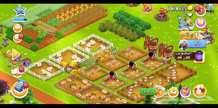 HAY DAY Game Level (86)64382873664897113