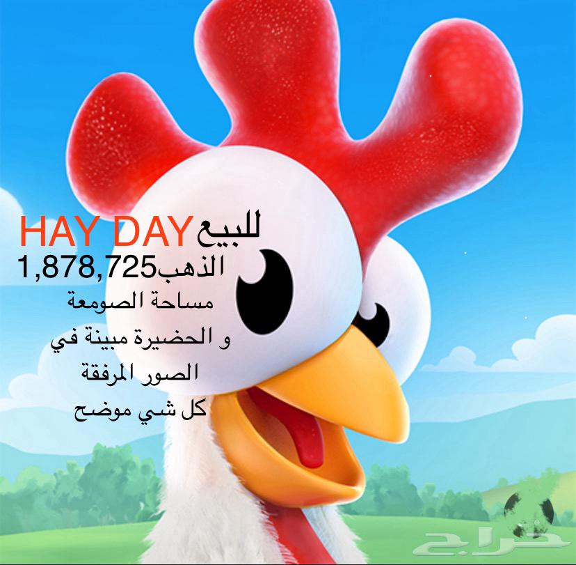 HAY DAY Game Level (86)64382873664897110