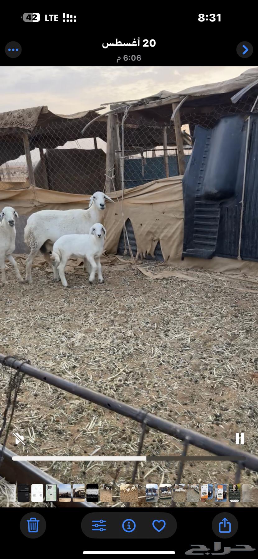 للبيع شاتين64389806061697111