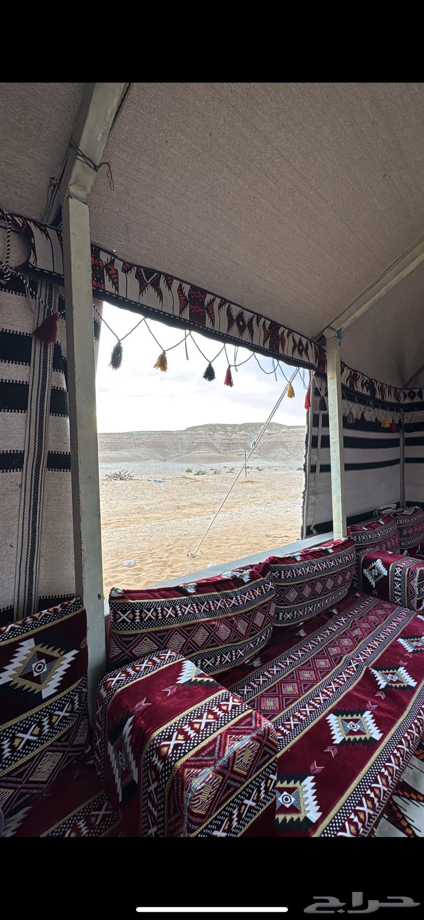 بيت شعر 7 5 ابيض اخو الجديد64378803608195111