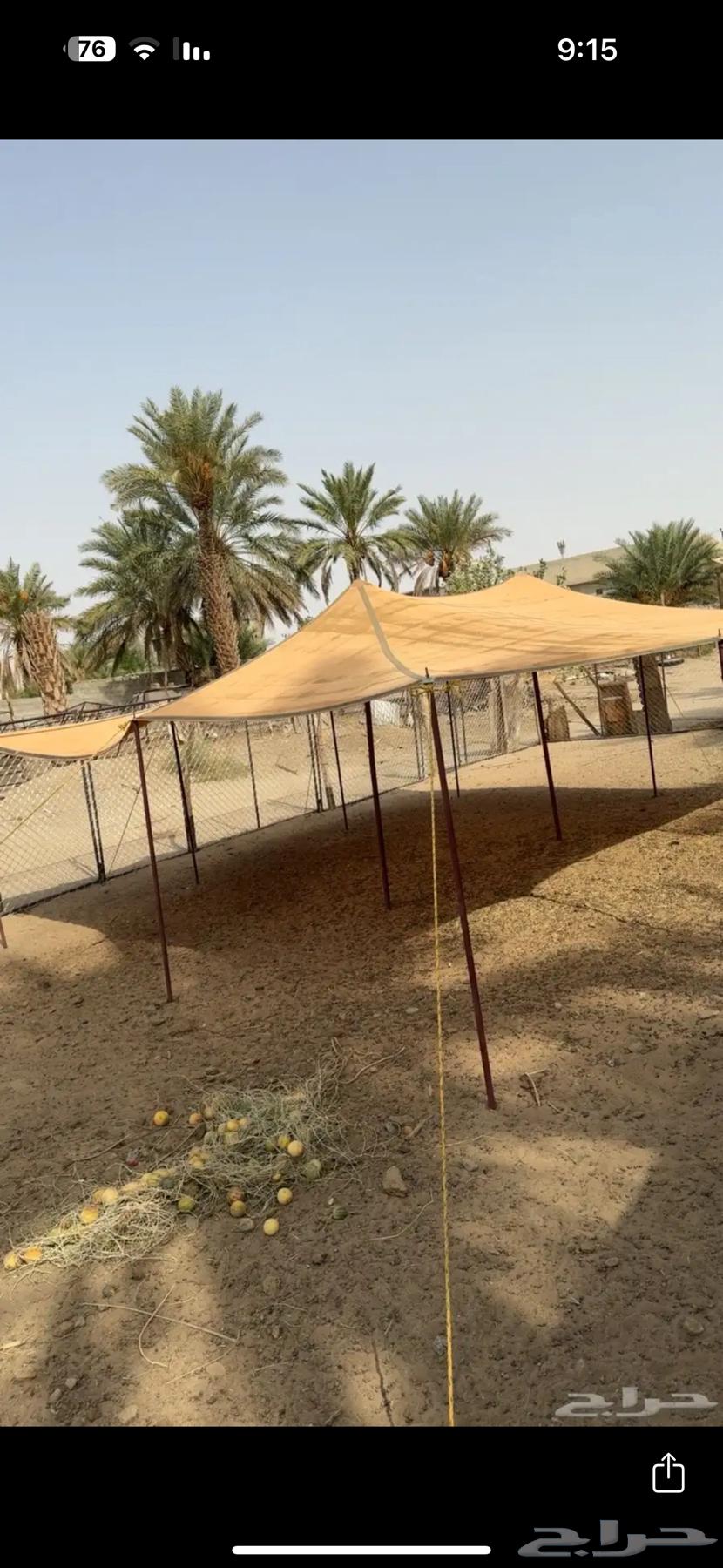 خيمة غنم للبيع64380833512451110