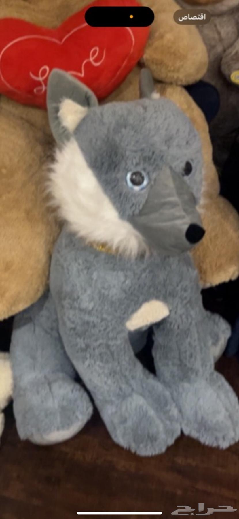 دبب العاب64388259572355112