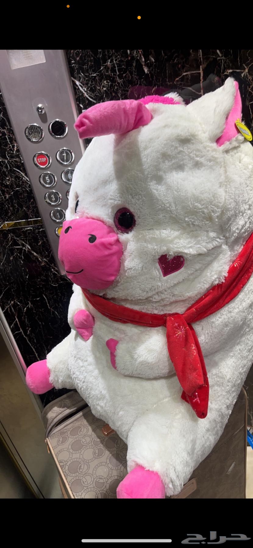 دبب العاب64388259572355114