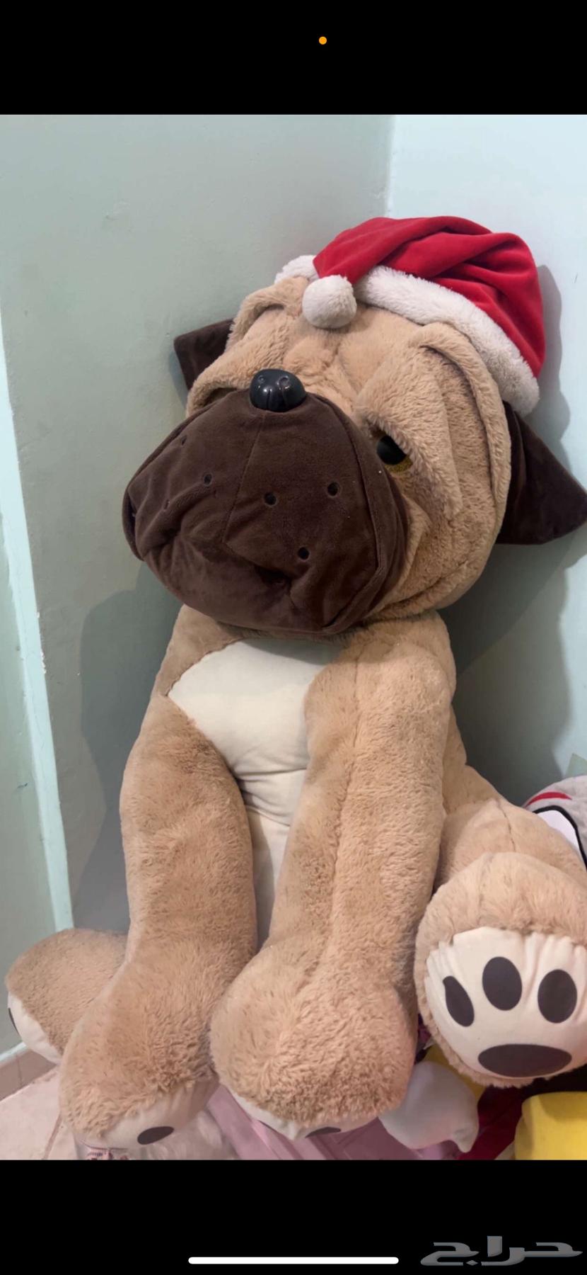 دبب العاب64388259572355111