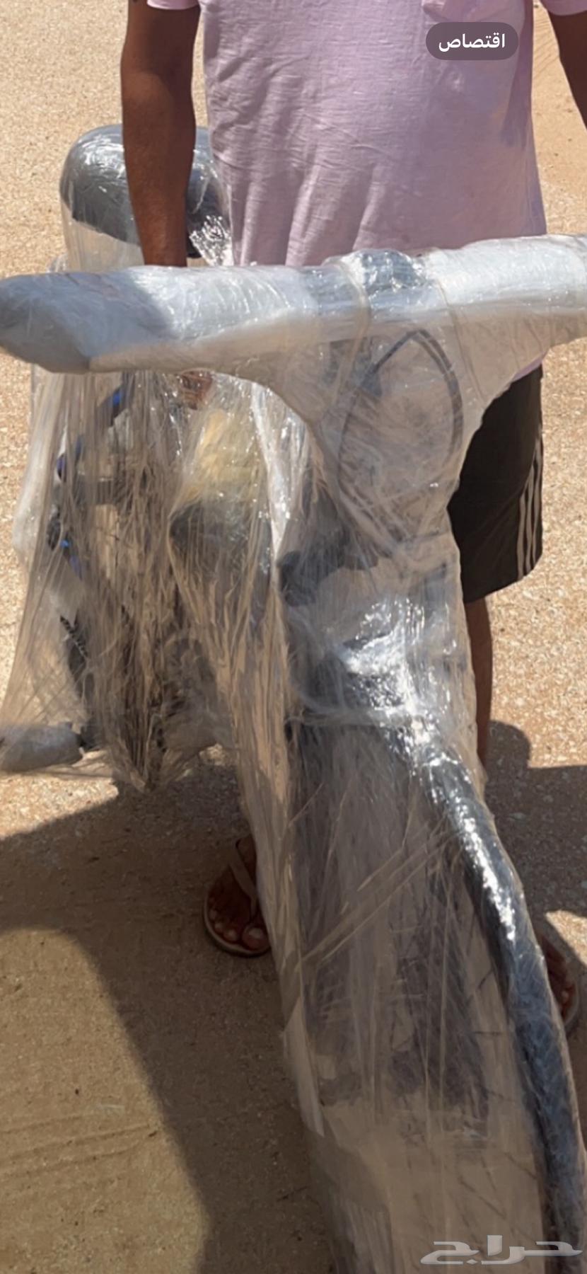 سيكل جبلي اللمنيوم64385355453569111