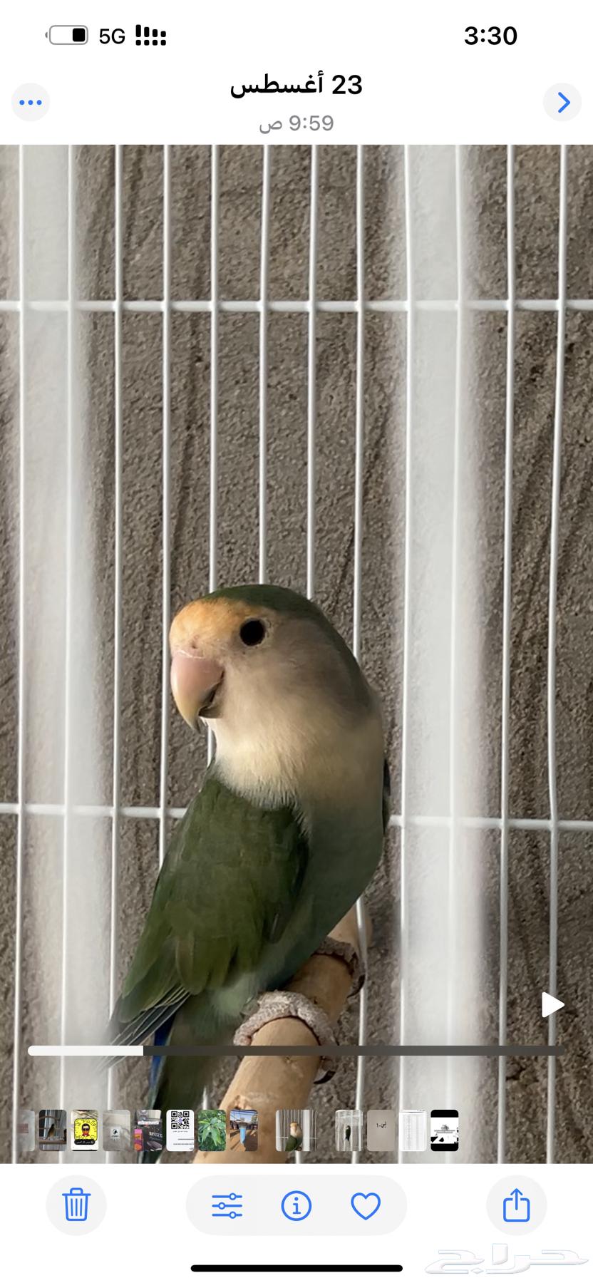 روز للبيع64384925158913110