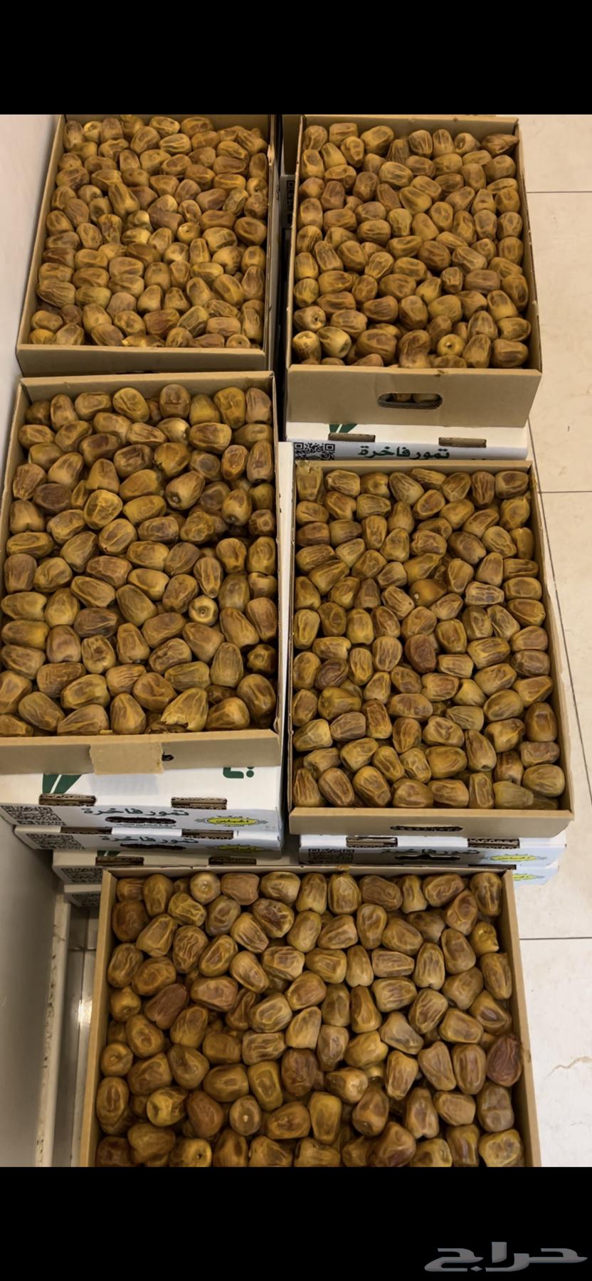 High-Quality Skiri Dates, Premium Quality64398827990019112