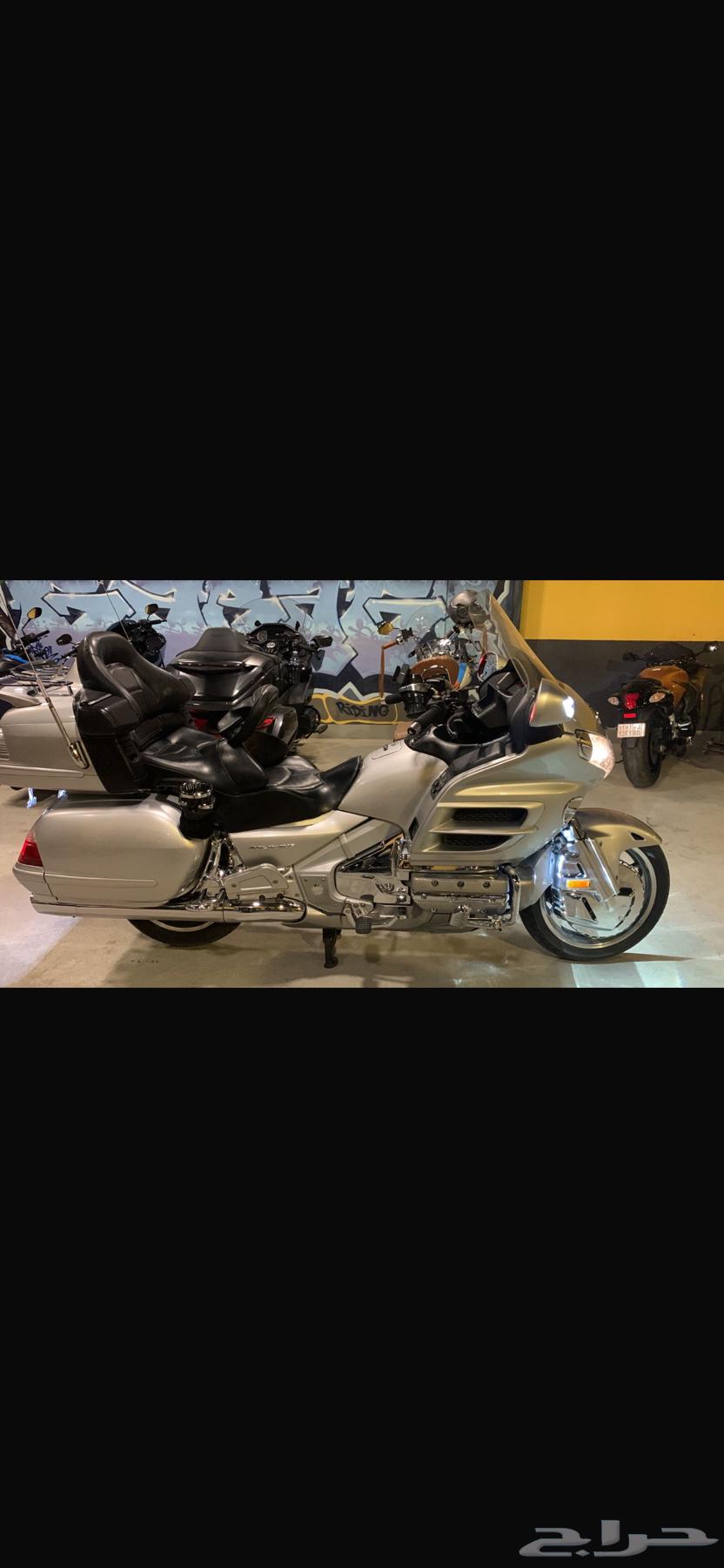 هوندا قولد وينق64536001051009114