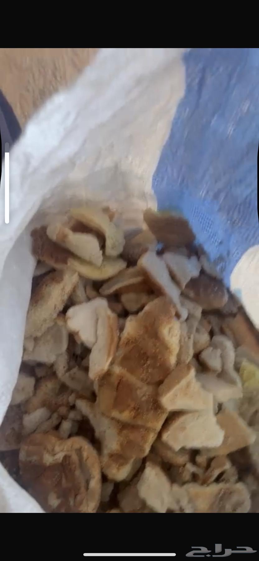 علف خبز 300كيس نظيف ناشف البيع جملة 16 ريال64391990276993111