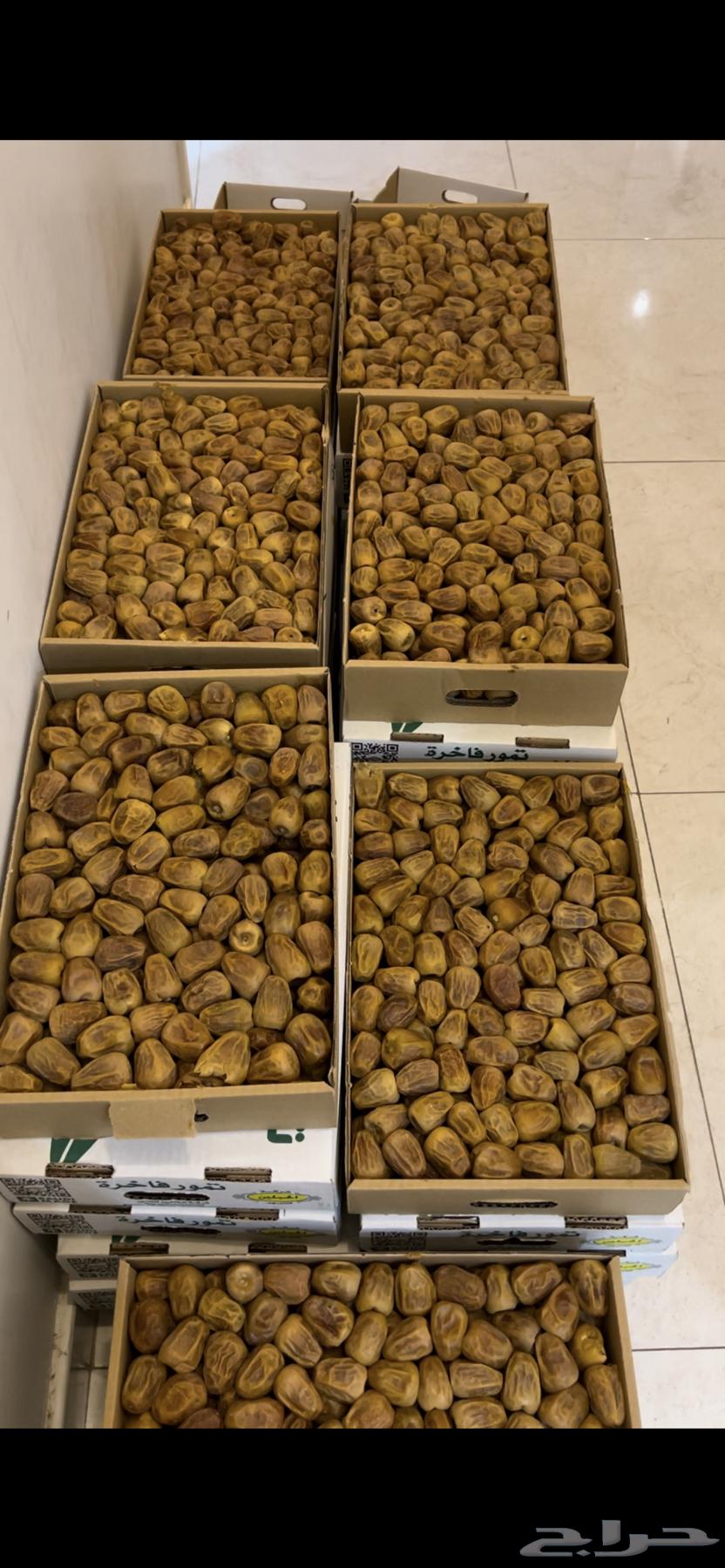 High-Quality Skiri Dates, Premium Quality64398827990019111