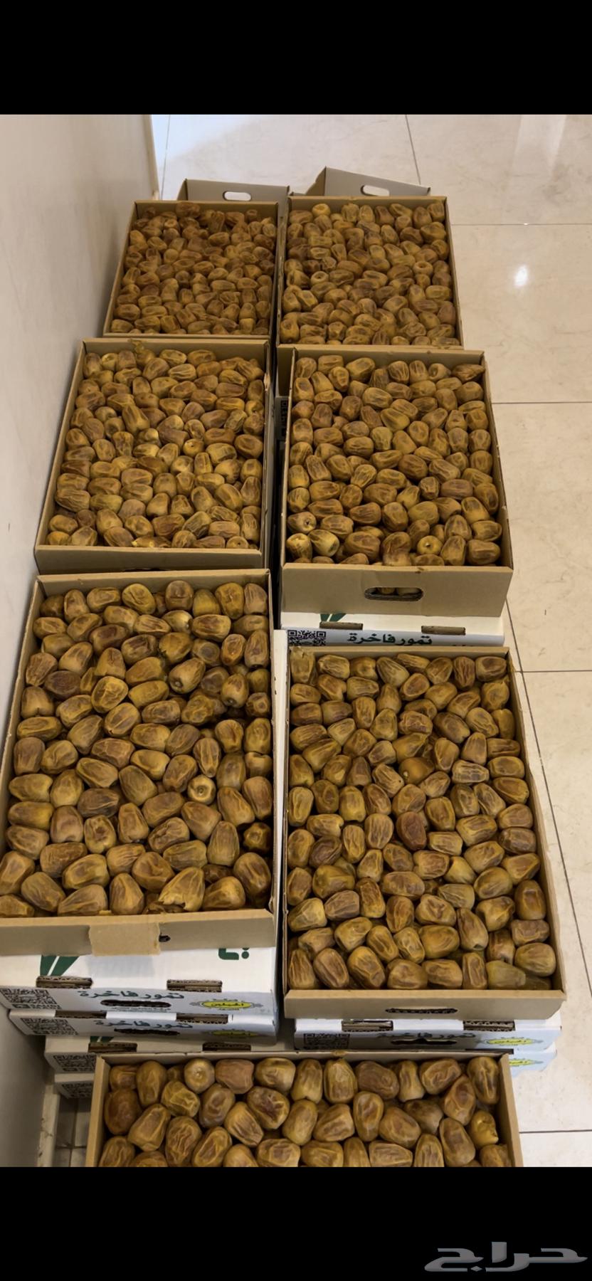 High-Quality Skiri Dates, Premium Quality64398827990019113