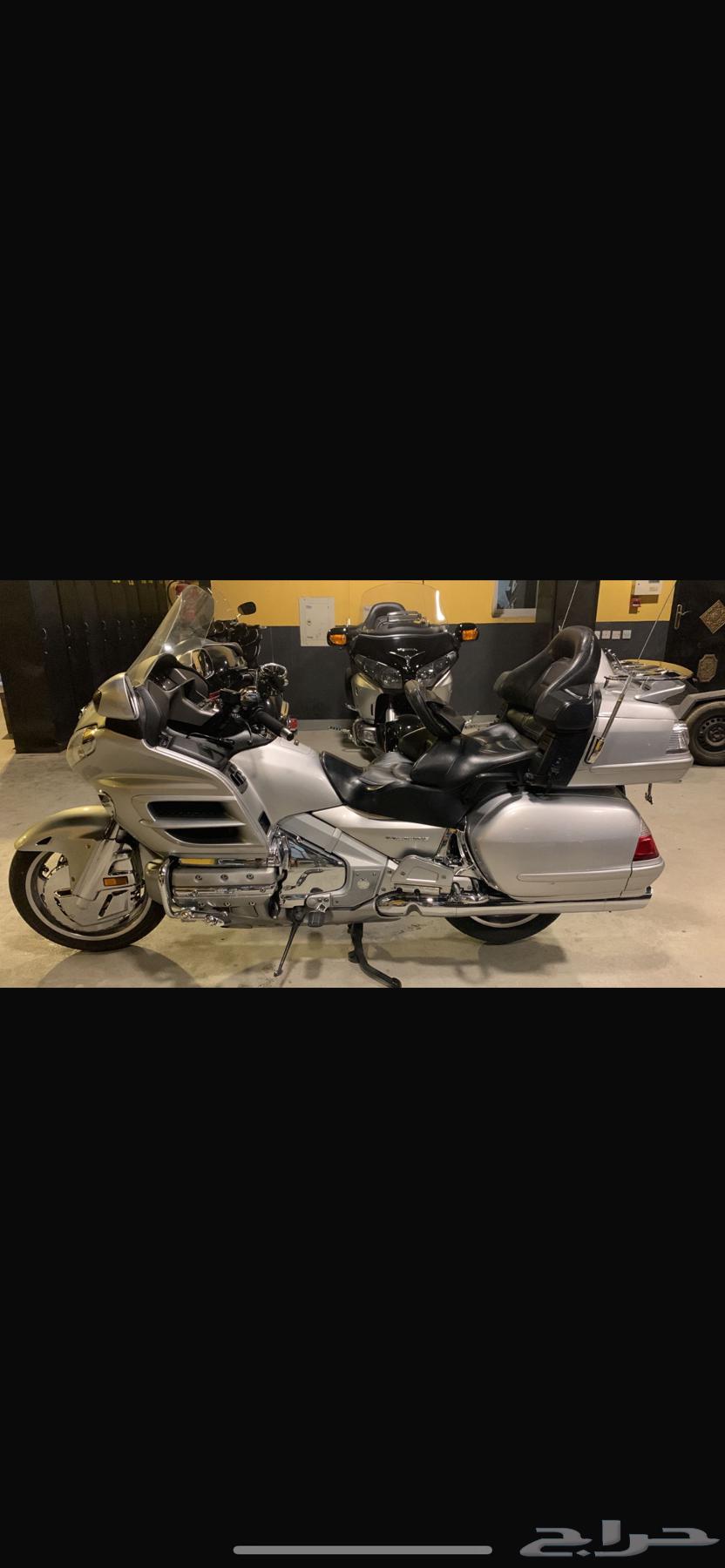 هوندا قولد وينق64536001051009113