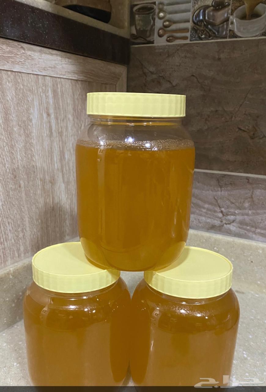 سمن غنم للبيع64384272804611110