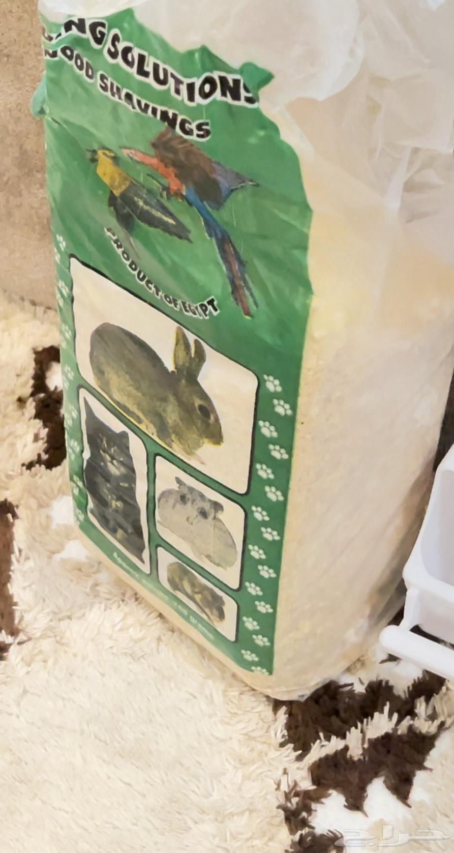 انثى الروز للبيع مع القفص والكوخ والاكل علبة نيدو والنشارة64382196909313111