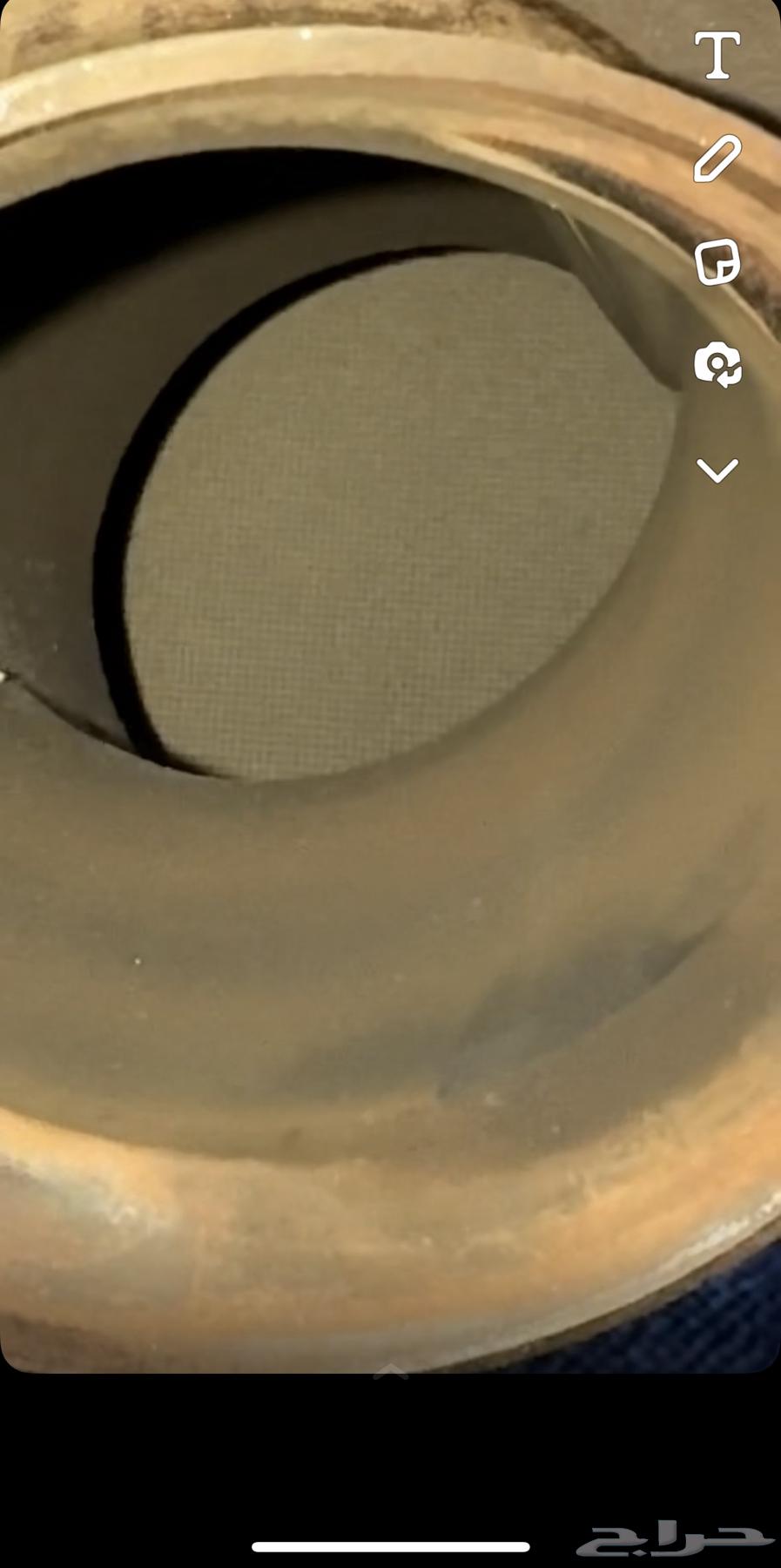 دبات بيئه تلوث فكتوريا64522230984067110