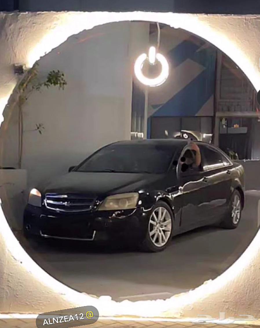 النوع كابرس كابرس موديل 201164537602201346112