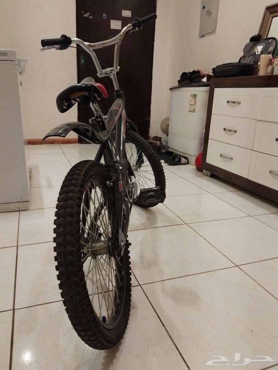 سيكل كوبرا نضيف اخو الجديد64380058637569111