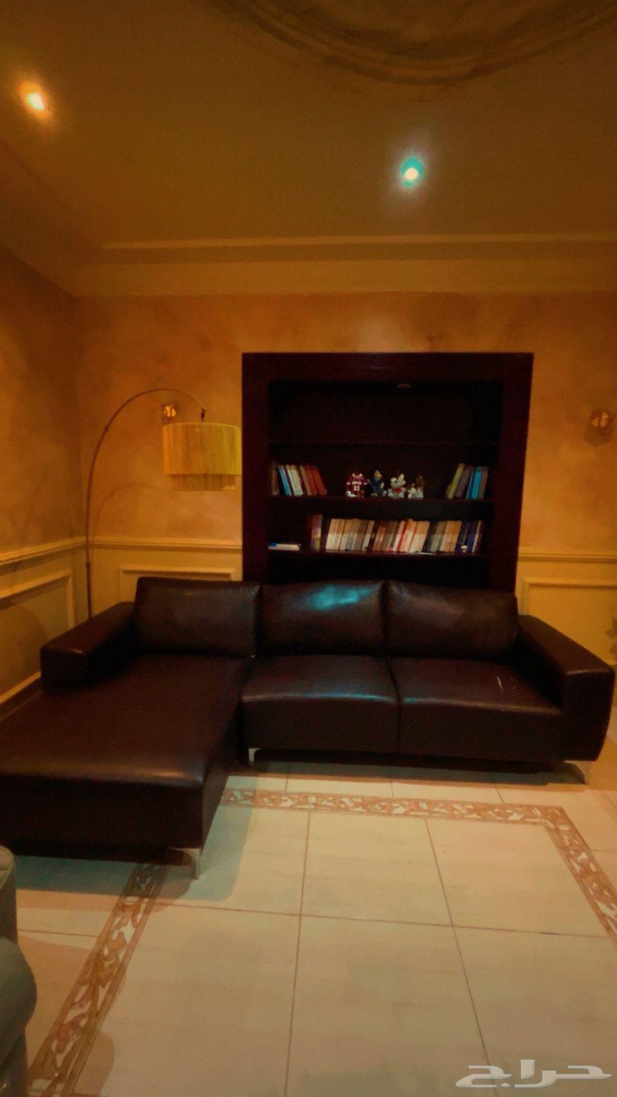 كنب جلد64377666808834110