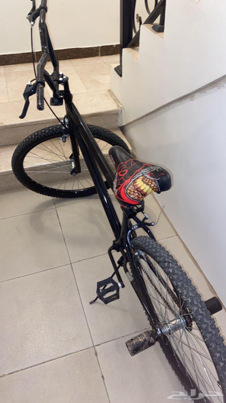 سيكل للبيع كوبرا64377710330626112