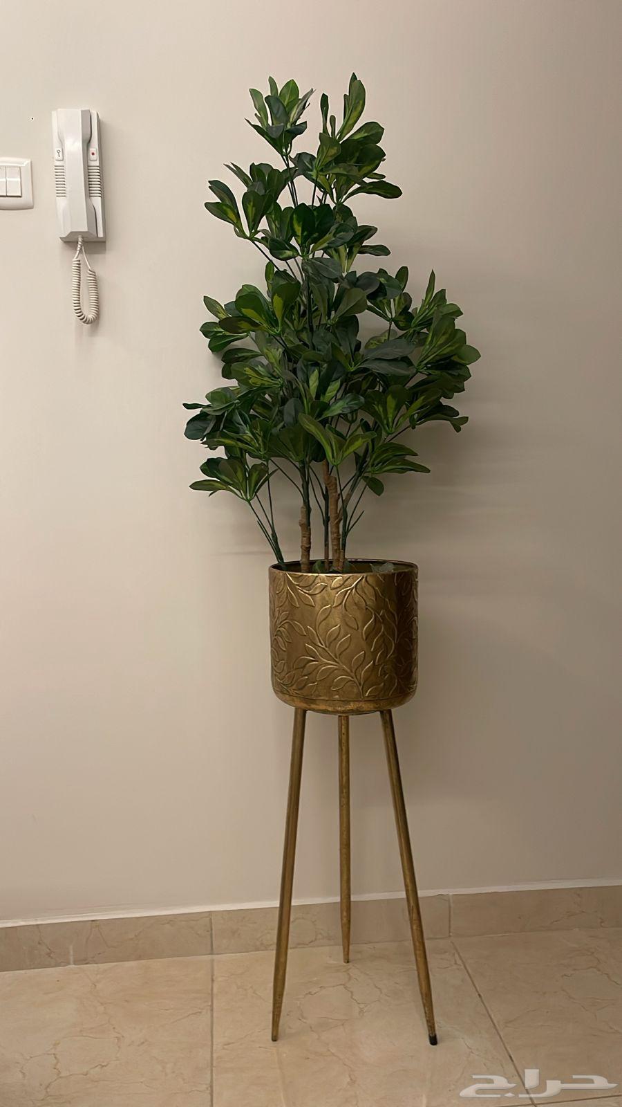 دولاب و تسريحه و ديكور64392415924609113