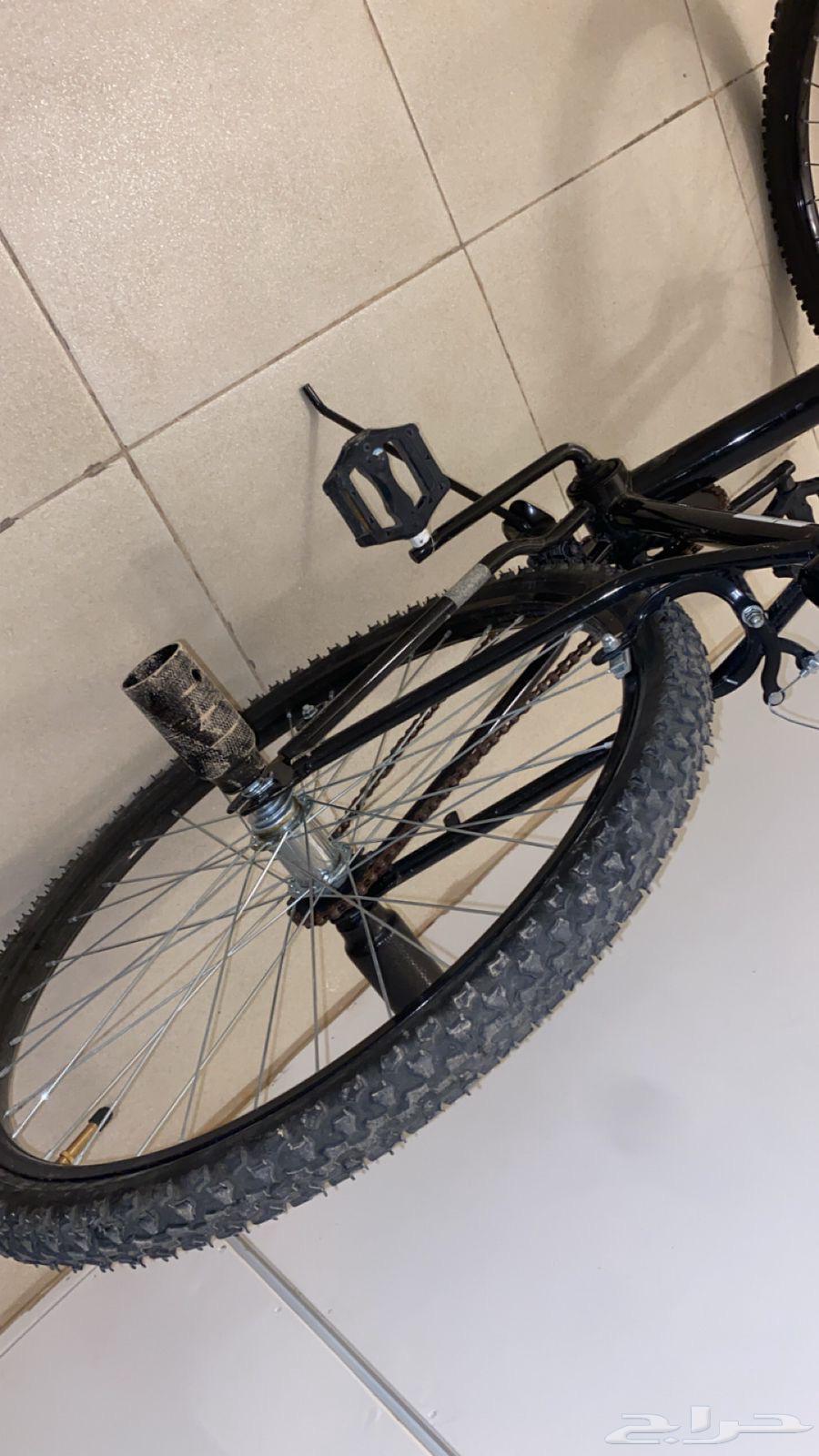 سيكل للبيع كوبرا64377710330626114