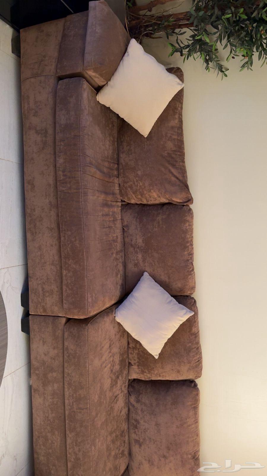 Sofa64384231509379112