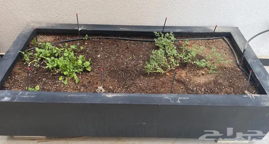 حوض زراعي فايبر كبير للبيع64377285390851111