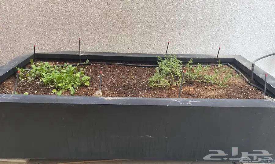 حوض زراعي فايبر كبير للبيع64377285390851110