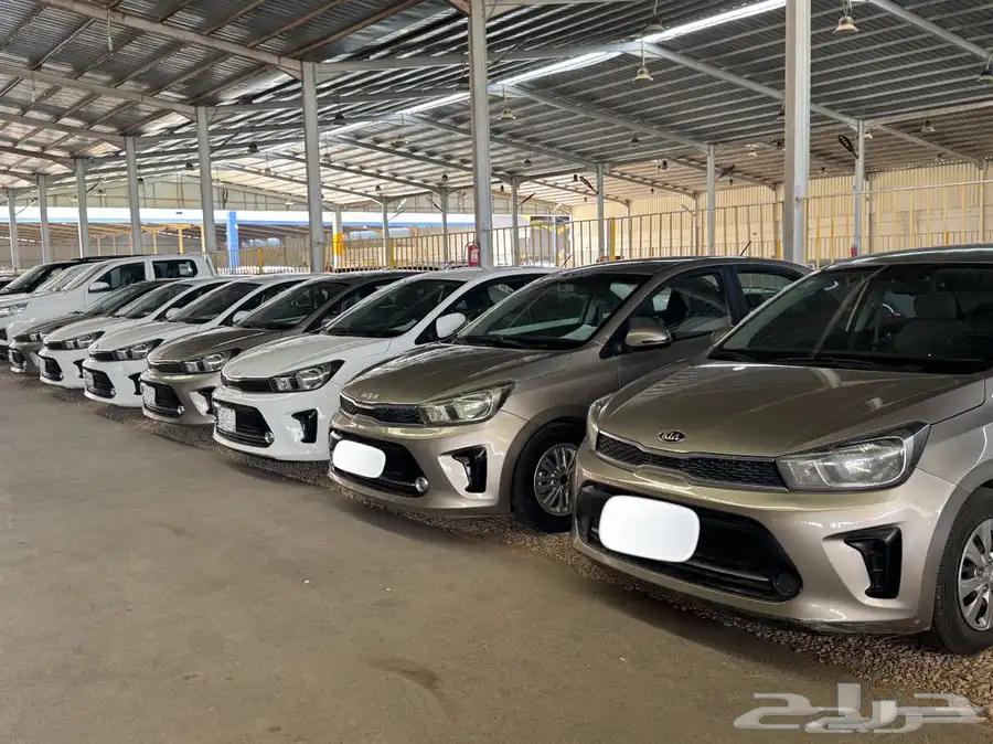 للبيع مجموعه كيا بيقاس 2023. 12 السياره لسعر 3164534747476995110