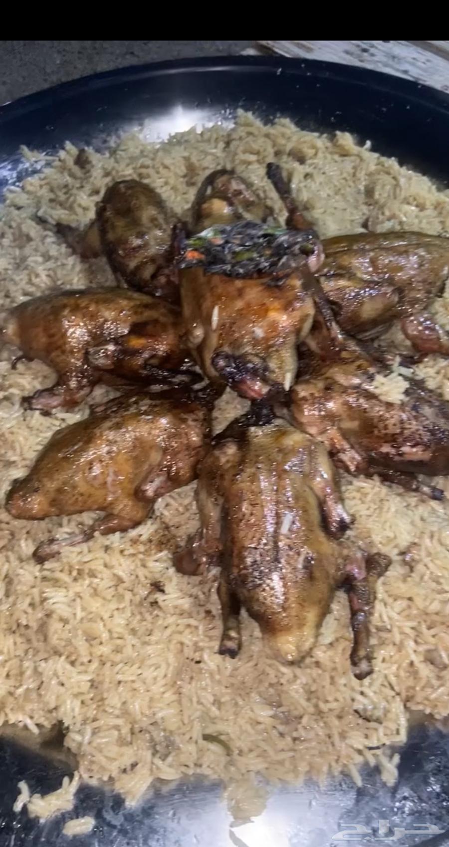 زغليل فرنسي مذبوح للبيع64390026754051113