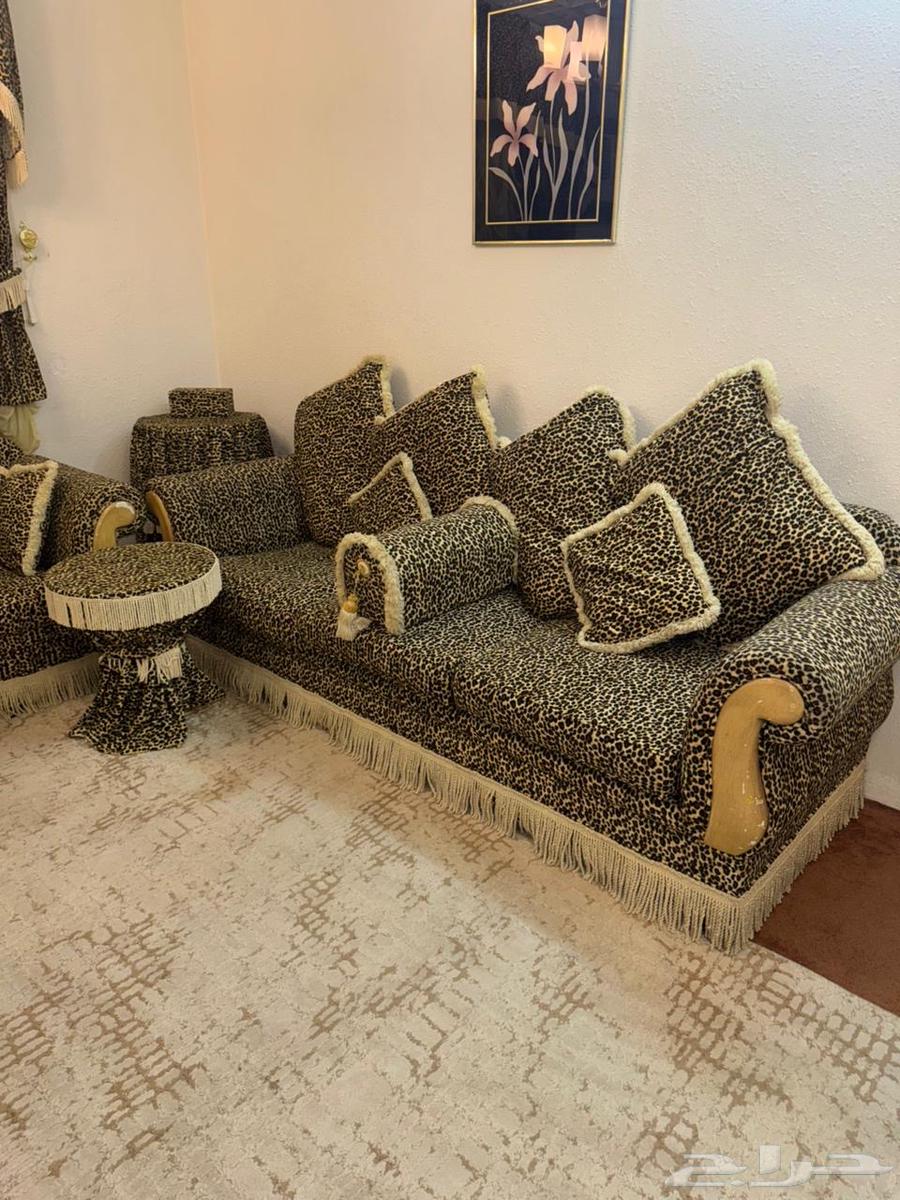 Sofa64391324712962114