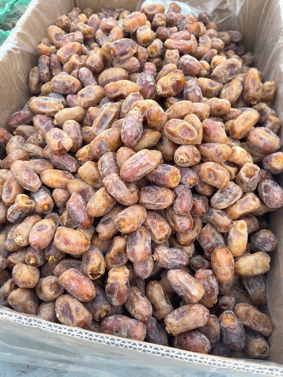 Tamr Khalas64386697101955112