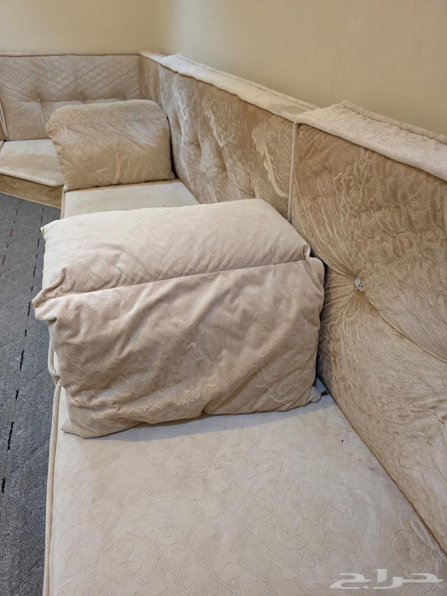 كنب استخدام ست شهور نظيف جدا جدا التواصل خاص او واتس64389460703489114