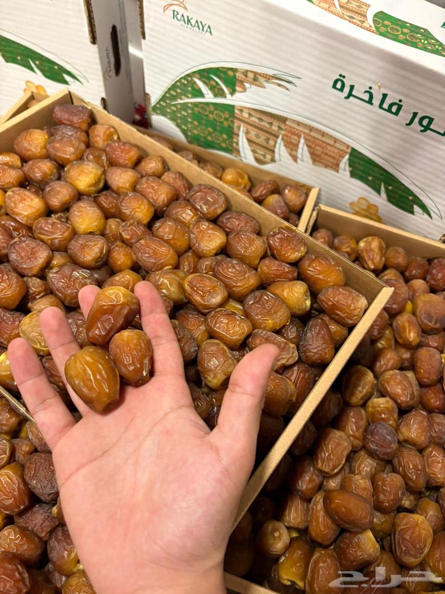 Galaxy Sukkari Dates64377285279873111