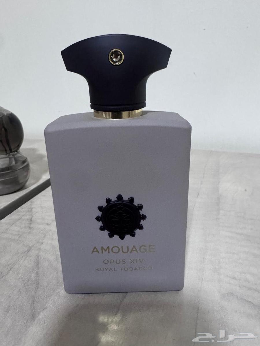 عطر امواج اوبس64381850699266110