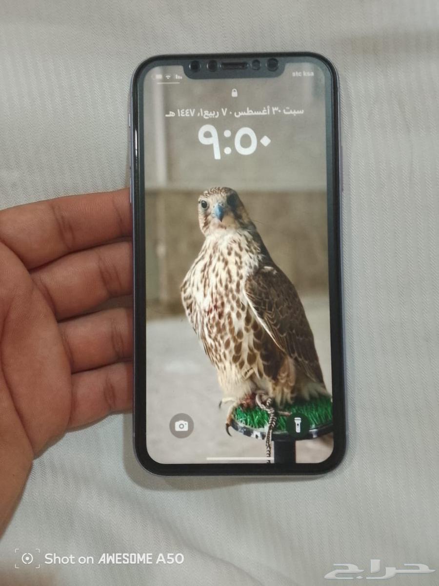 البيع ايفون11عادي64381095640065110