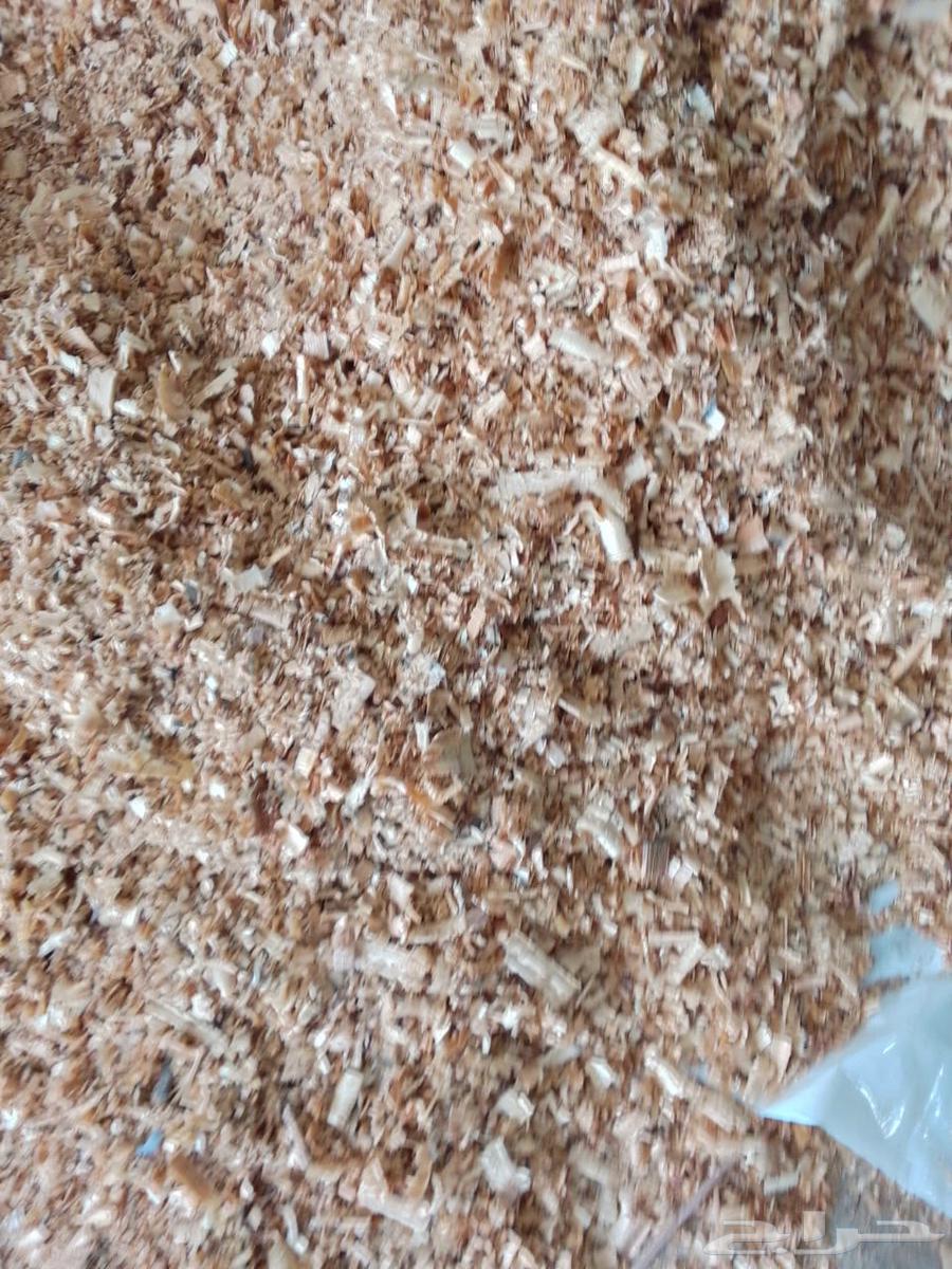 نشارة خشب الكيس 10 كيلو السعر 13 للكيس64382031762947110